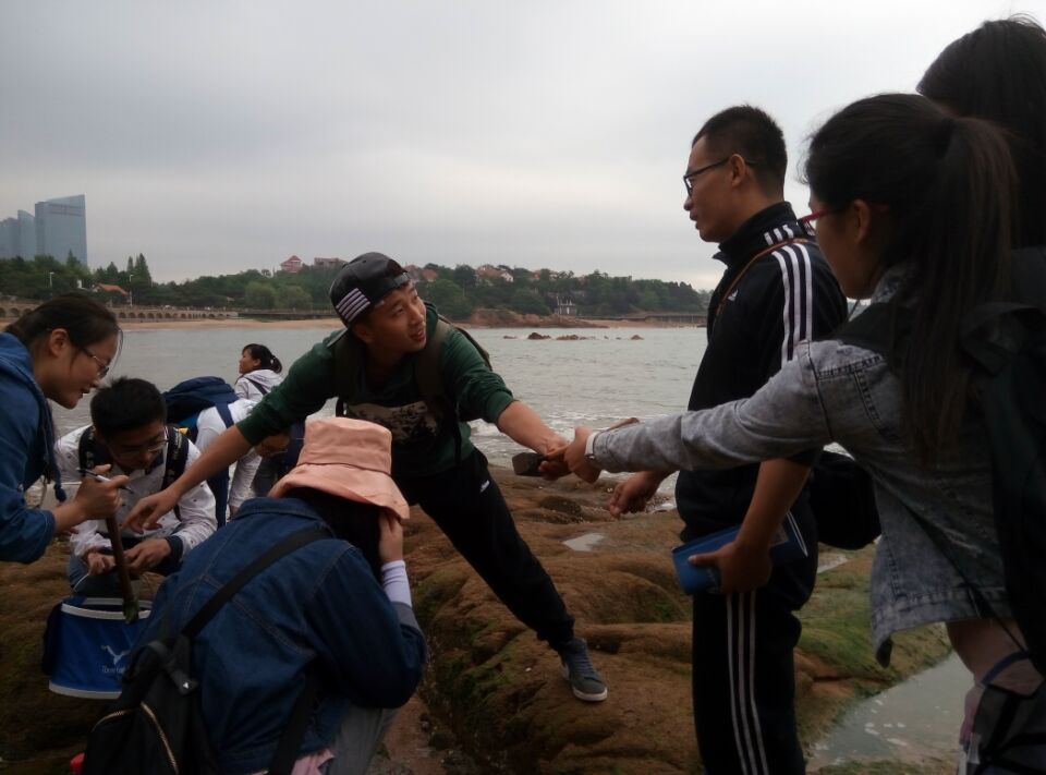 青岛八大关太平角海洋生物物实习 (1)