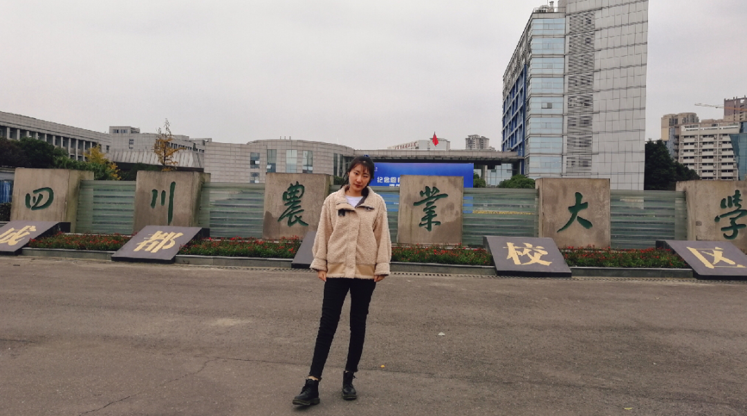 undefined undefined
