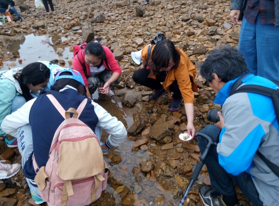 青岛八大关太平角实习